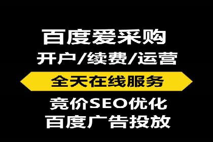 SEM服务助力中小企业案例分析